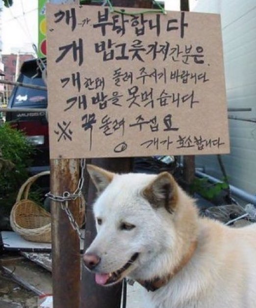 개가 부탁합니다 개가 호소합니다 제발요