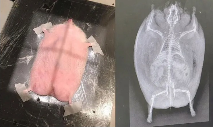 카리나가 좋아요 누름! 