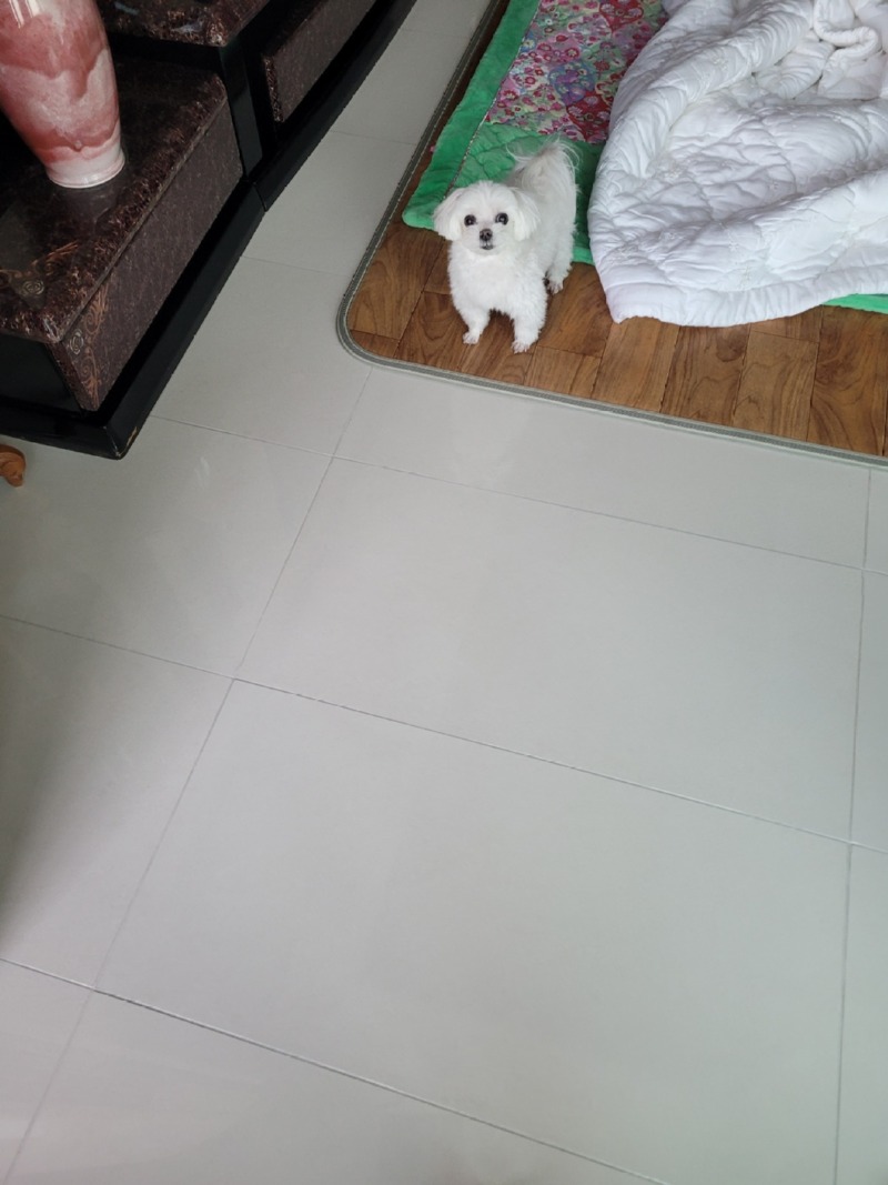 단비입니다!