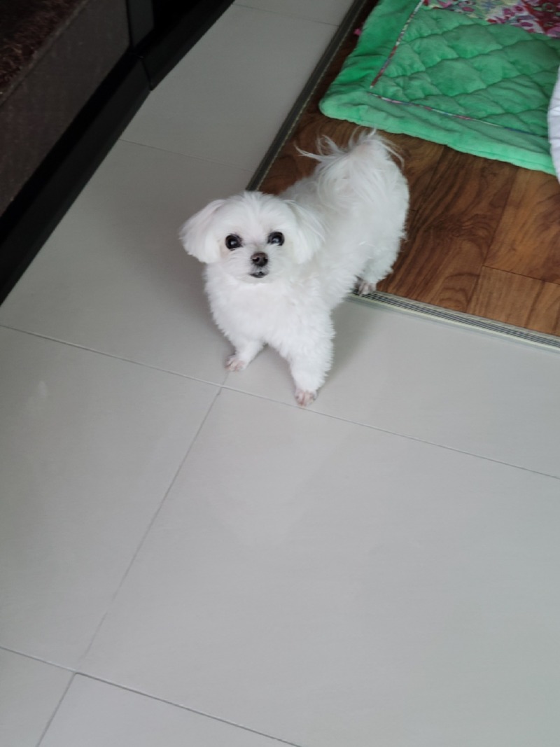 단비입니다!