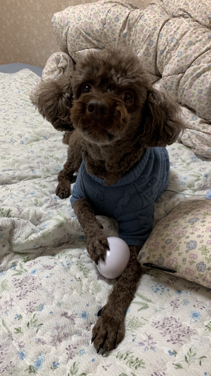귀염둥이