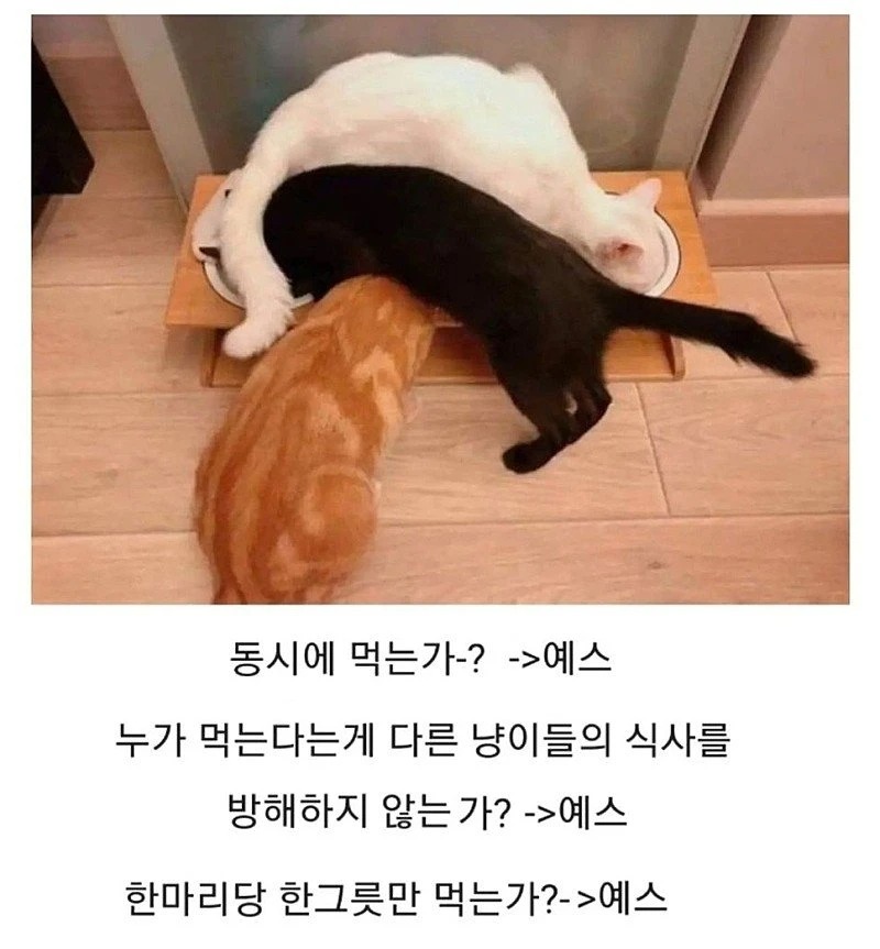 의외로 코딩이 잘 된 경우