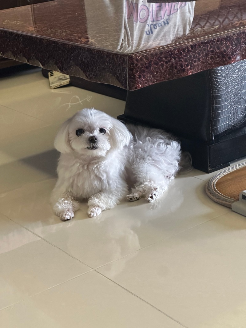 단비야~~