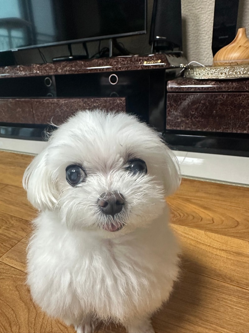 단비야~~