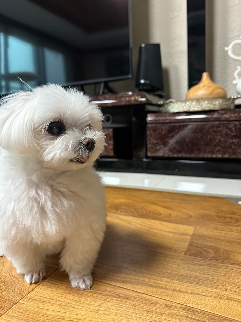 단비야~~