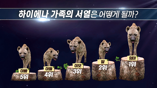 사바나의 청소부 하이에나