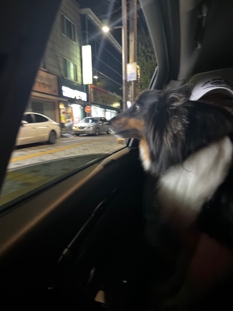 드라이브 즐기는 남자~