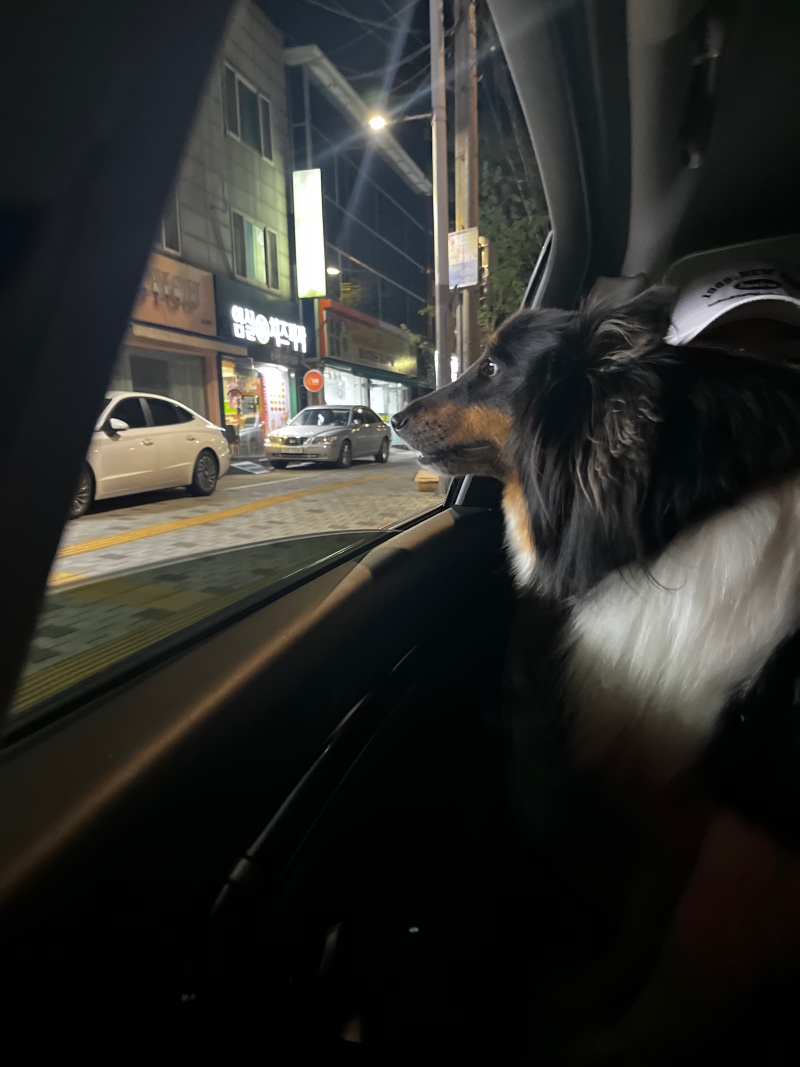 드라이브 즐기는 남자~