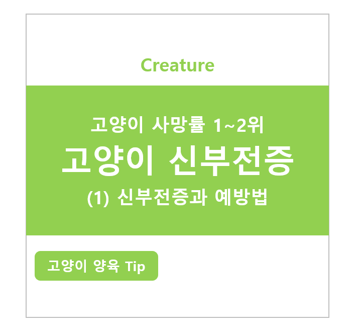 고양이 신부전증 (1) 증상과 예방법