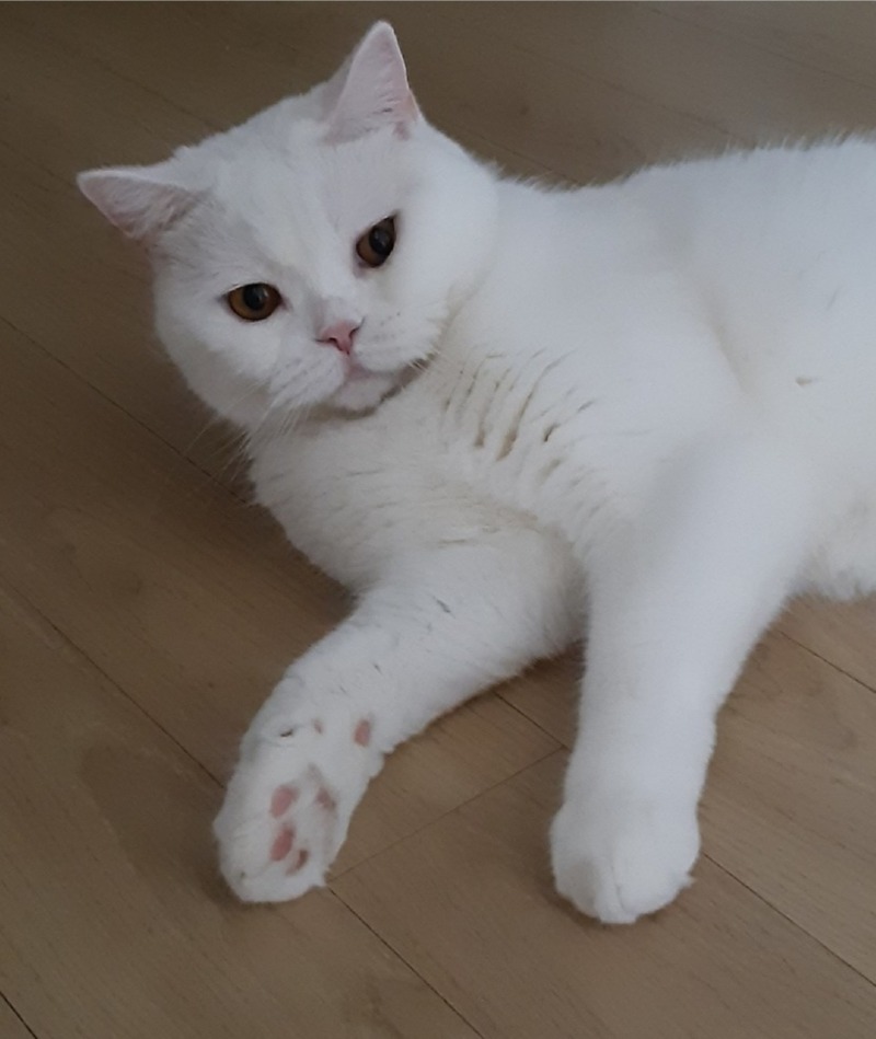 기분조아보여 