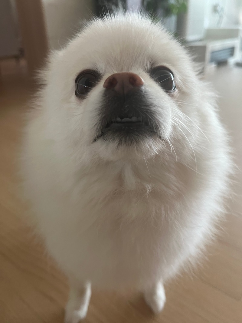 물개닮은 우리 별이~