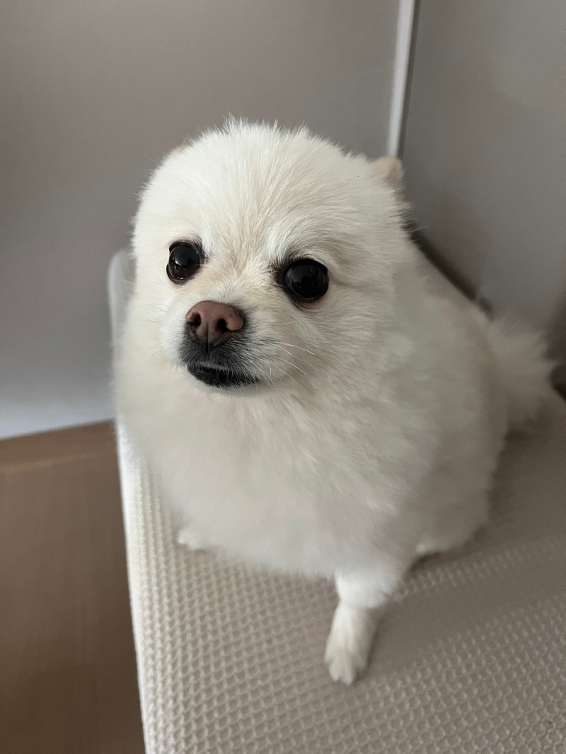 KakaoTalk_20240628_155613730_05.jpg