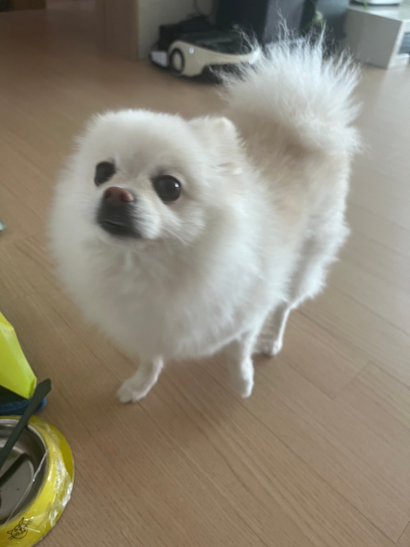 KakaoTalk_20240628_154708818_05.jpg