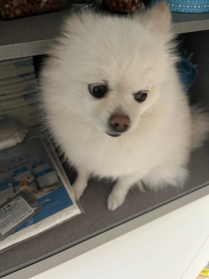 KakaoTalk_20240628_154708818_22.jpg
