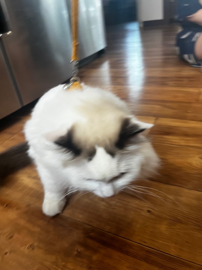 IMG_4660.jpeg