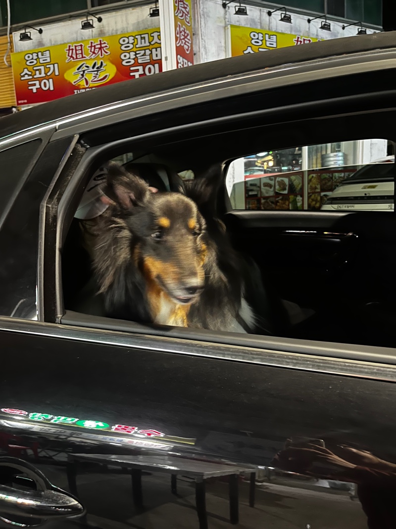 드라이브~