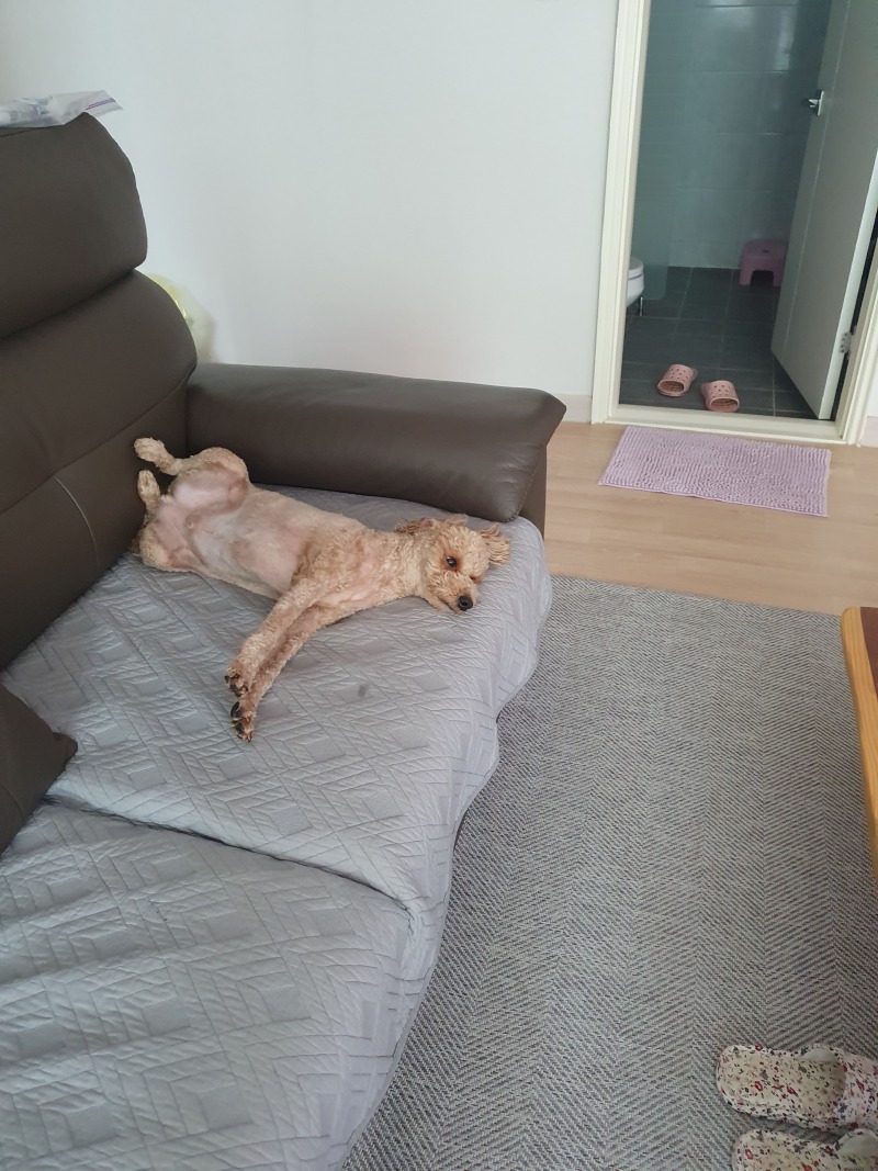 토리