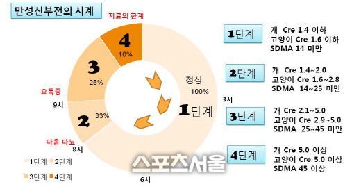 고양이 신부전증 (2) 검사와 분석 
