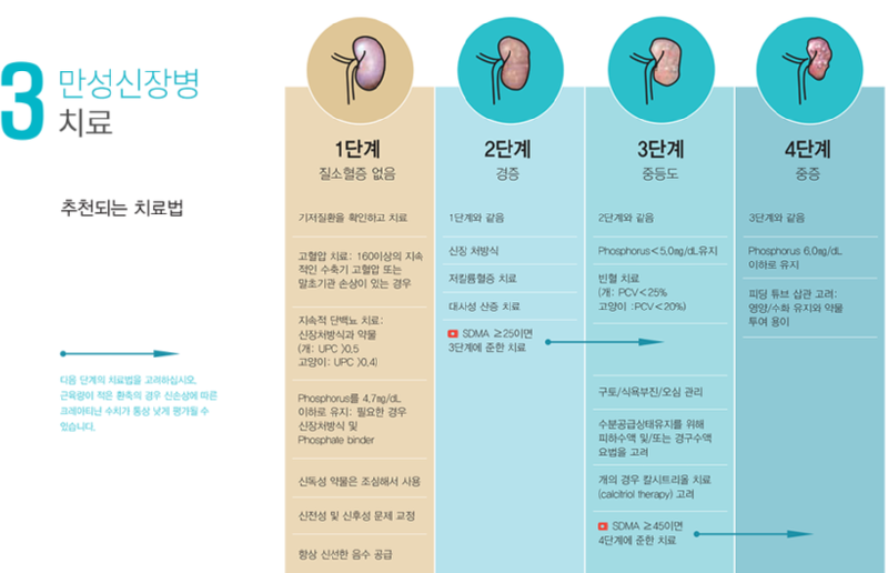 고양이 신부전증 (2) 검사와 분석 