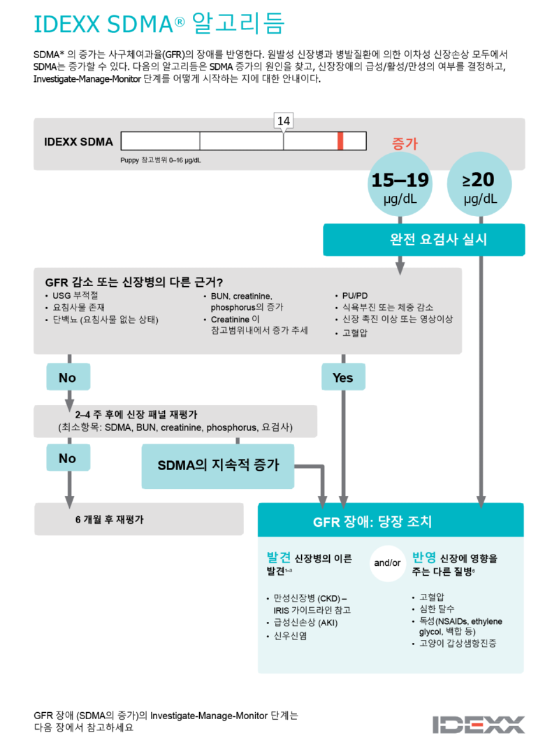 고양이 신부전증 (2) 검사와 분석 
