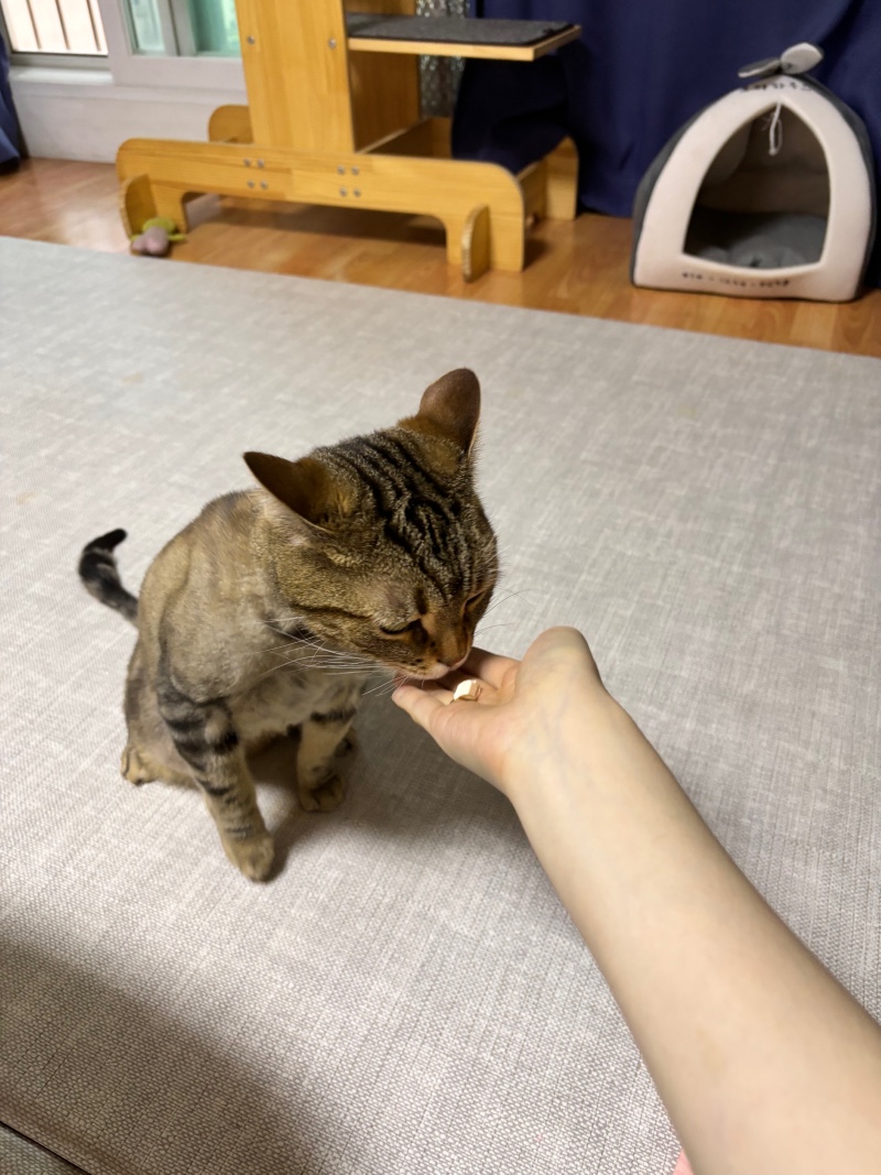 IMG_6237.jpeg