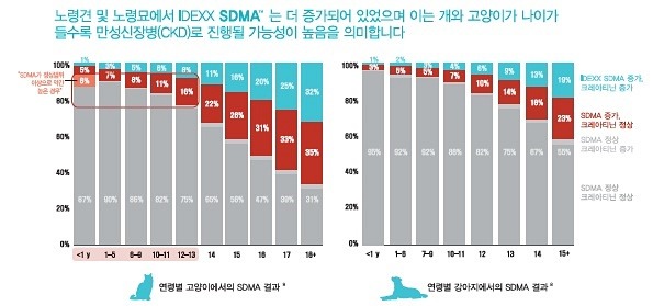 고양이 신부전증 (2) 검사와 분석 
