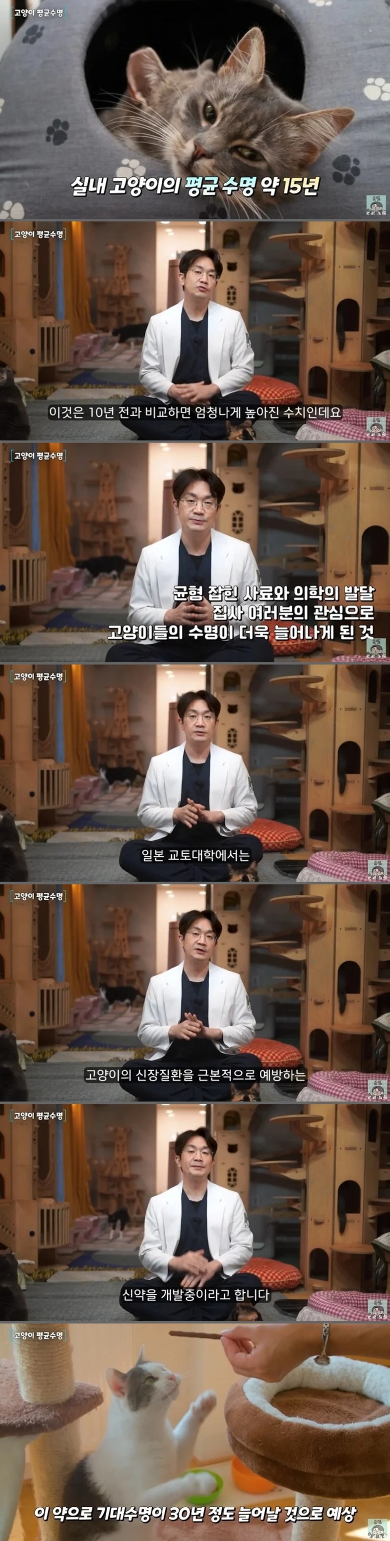 고양이 신부전증 (2) 검사와 분석 