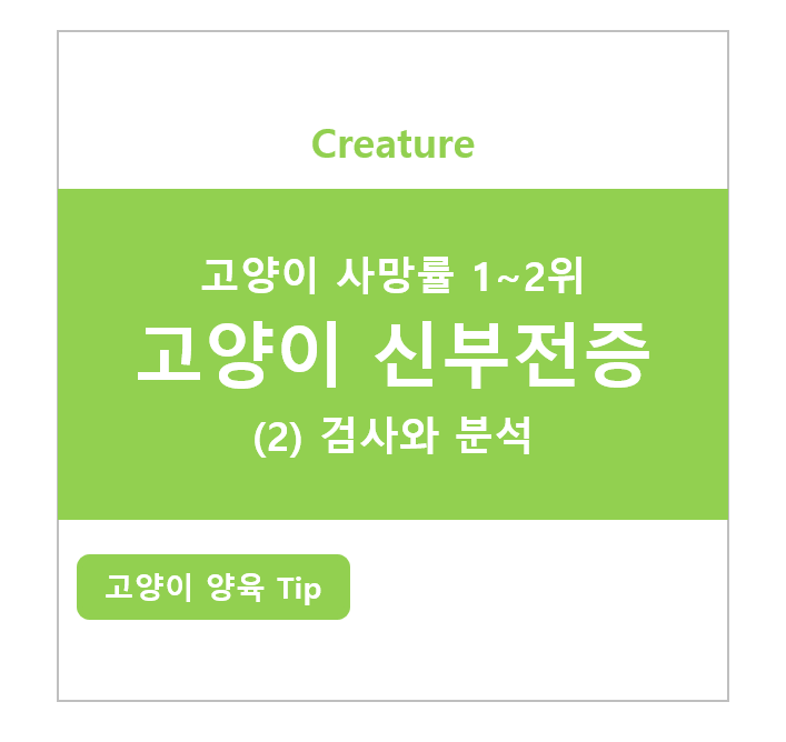 고양이 신부전증 (2) 검사와 분석 