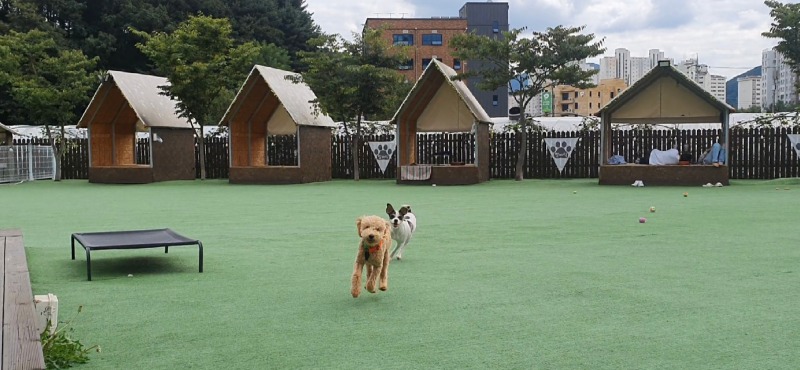 애카 발바닥카페