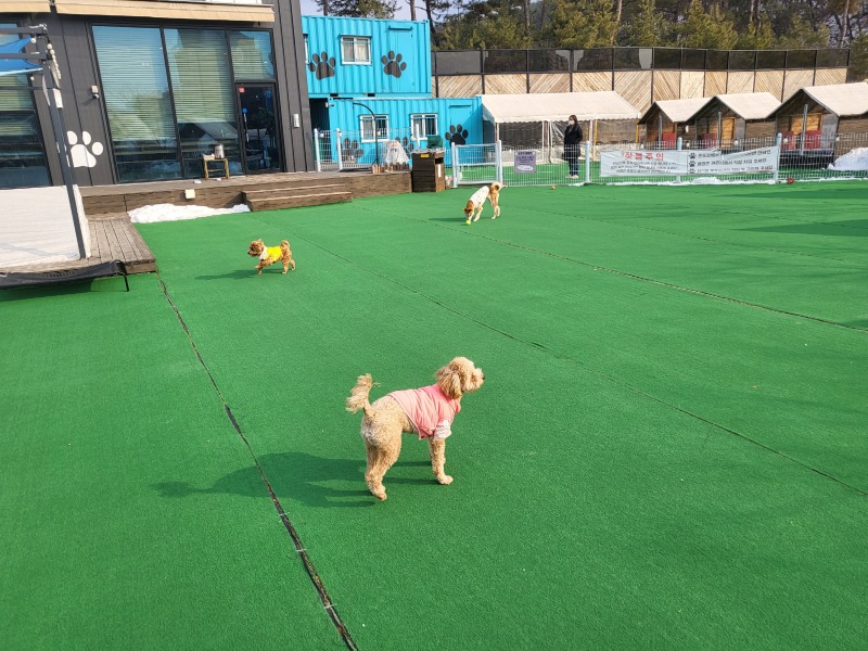 애카 발바닥카페
