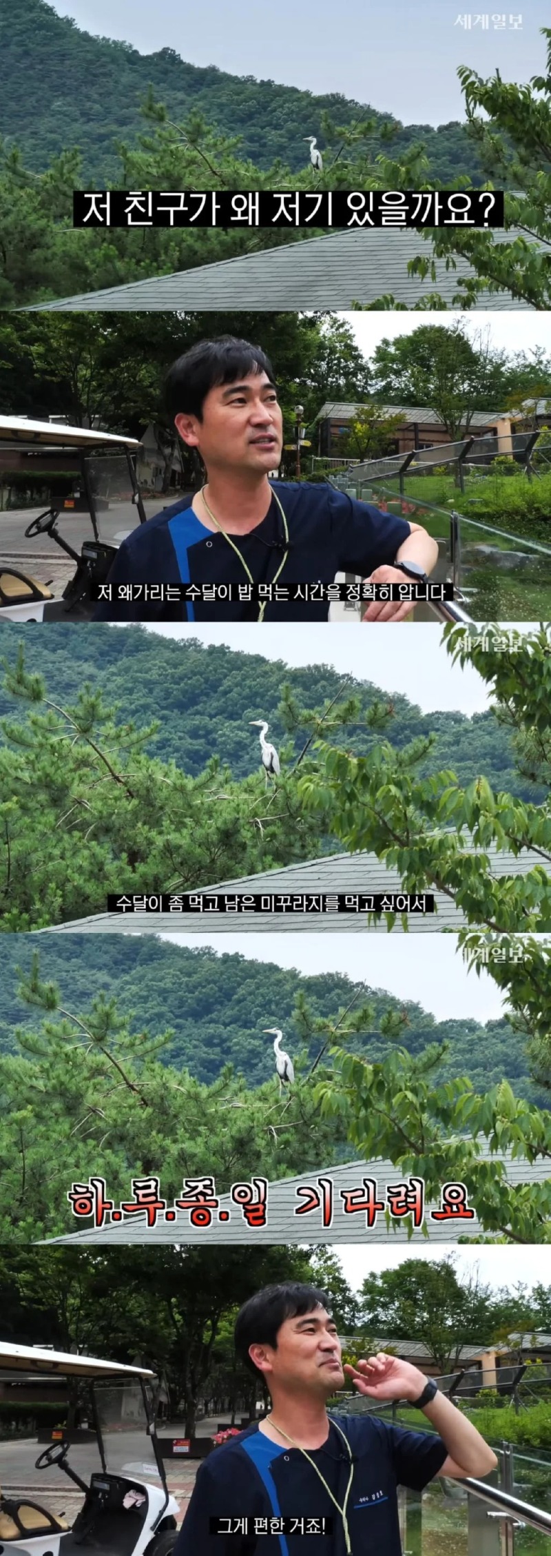 자연친화적으로 운영한다는 동물원 (청주동물원)