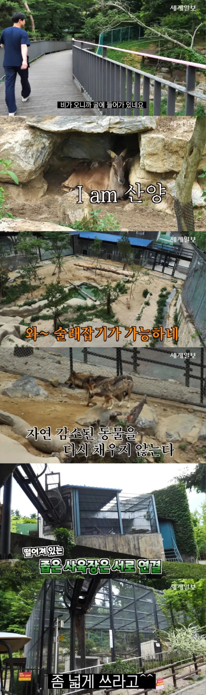 자연친화적으로 운영한다는 동물원 (청주동물원)