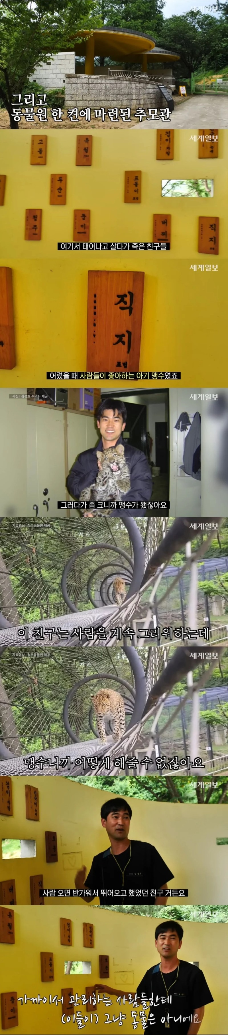 자연친화적으로 운영한다는 동물원 (청주동물원)