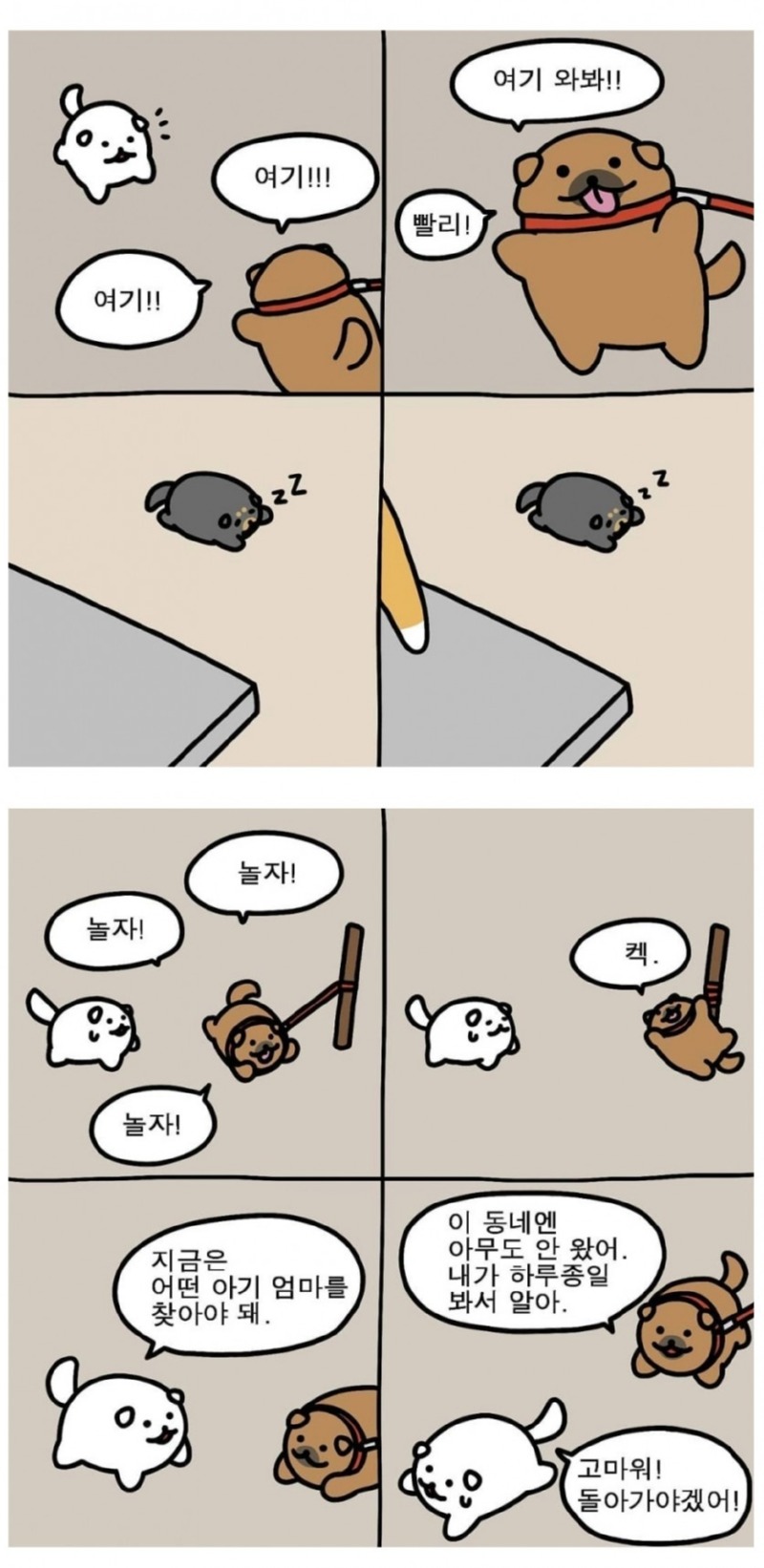 귀욤귀욤 새끼고양이 엄마찾는 만화.manhwa