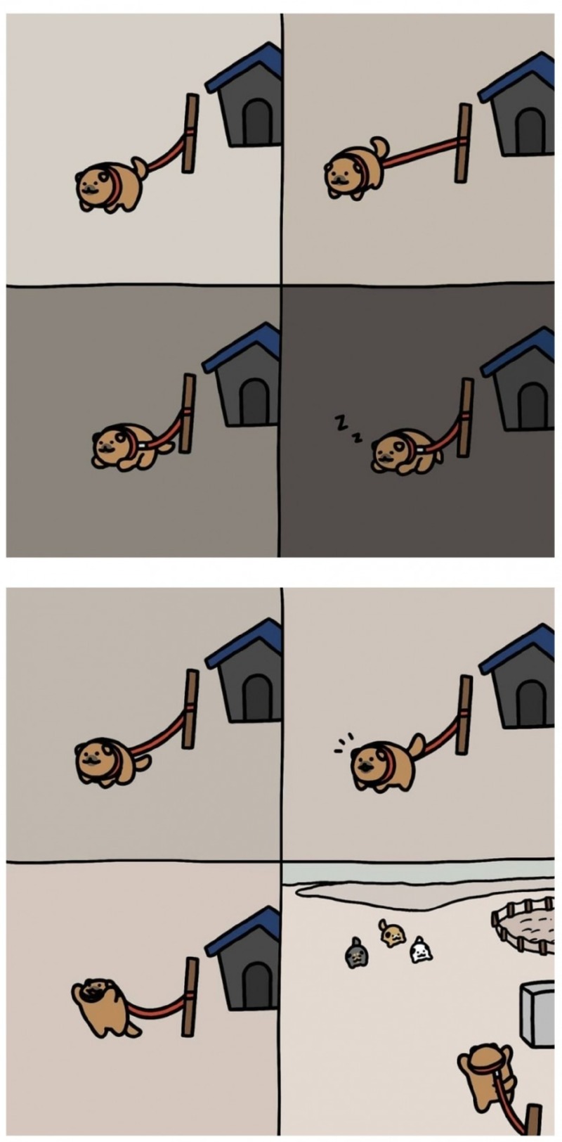 귀욤귀욤 새끼고양이 엄마찾는 만화.manhwa