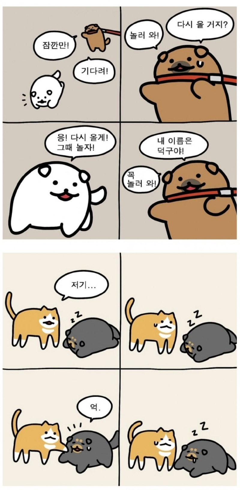 귀욤귀욤 새끼고양이 엄마찾는 만화.manhwa