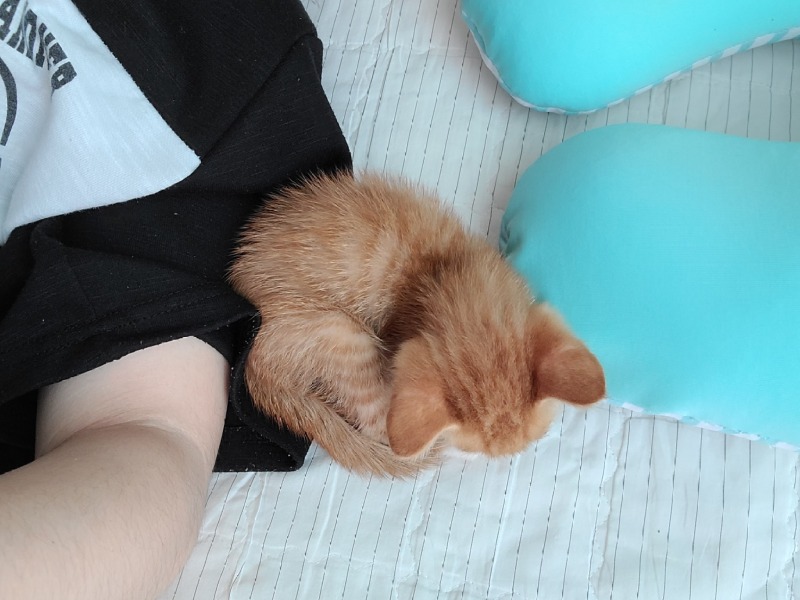 안동에서 데려온 아이