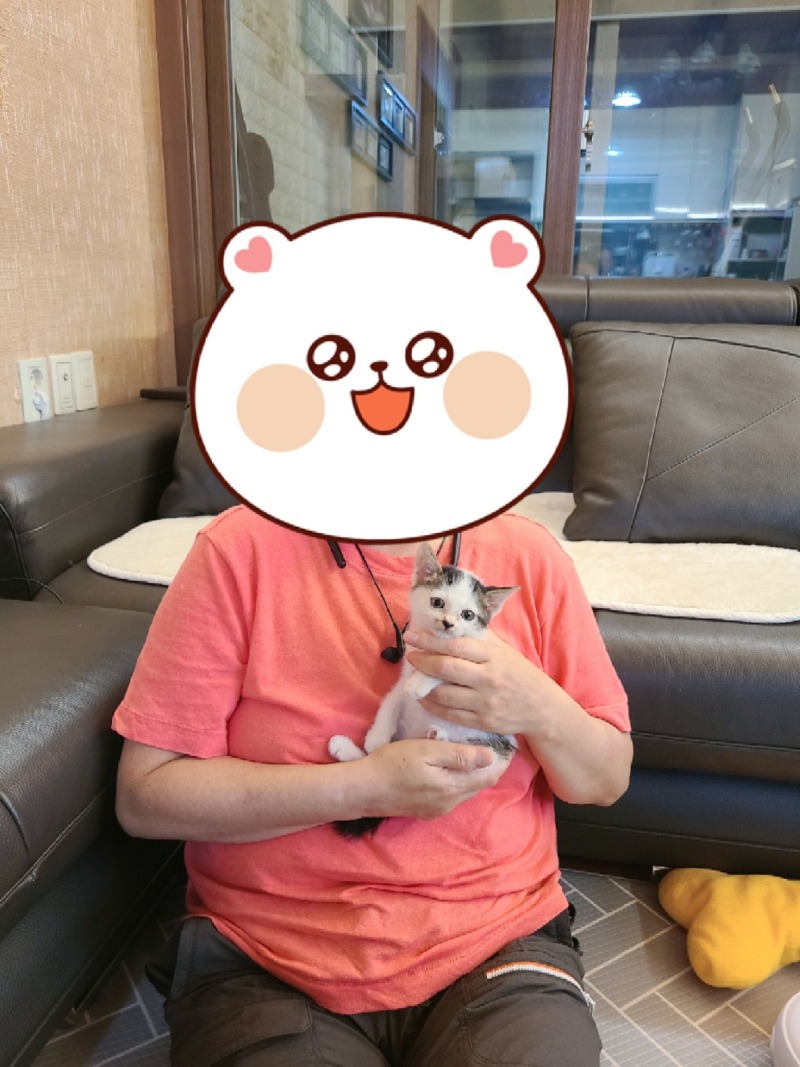 인제에서 온 삼봉, 드디어 인천에 오다!