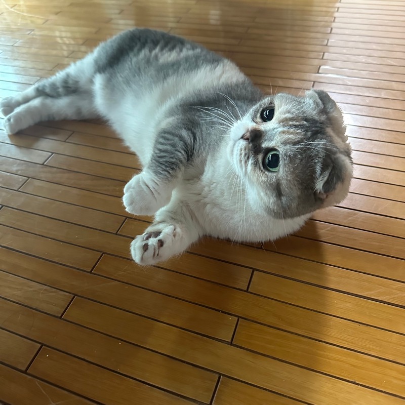 KakaoTalk_20240702_105609334_10.jpg