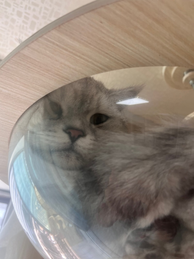 안녕하세영미미에여
