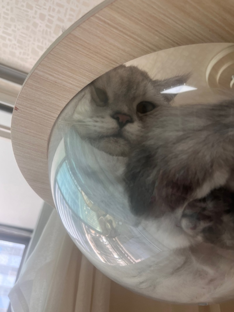 안녕하세영미미에여