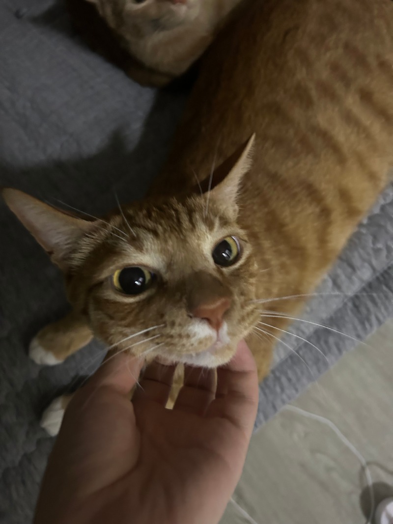 왕눈이 김마루 :)