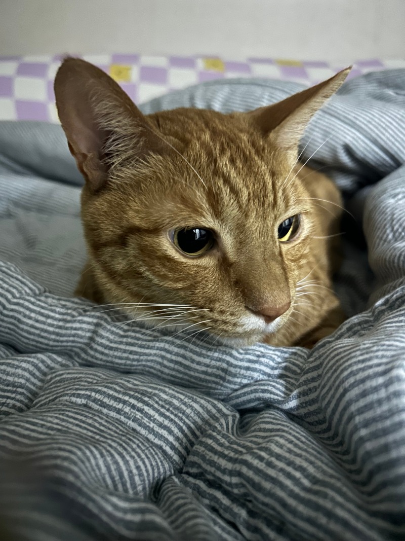 왕눈이 김마루 :)