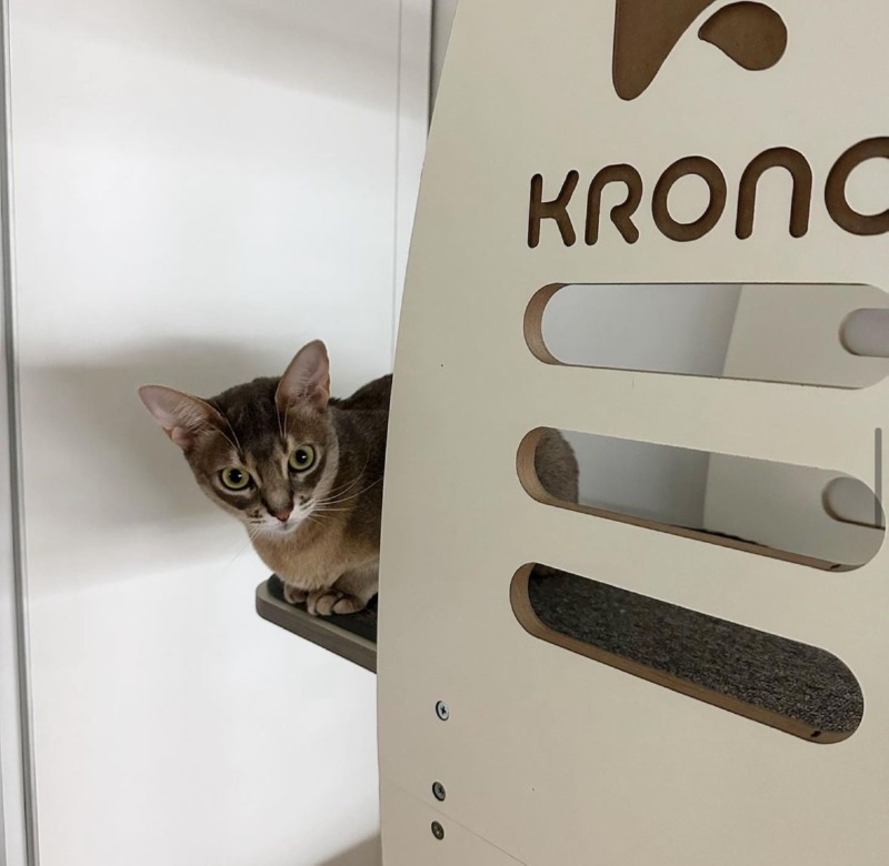 KakaoTalk_20240704_150902666_02.jpg