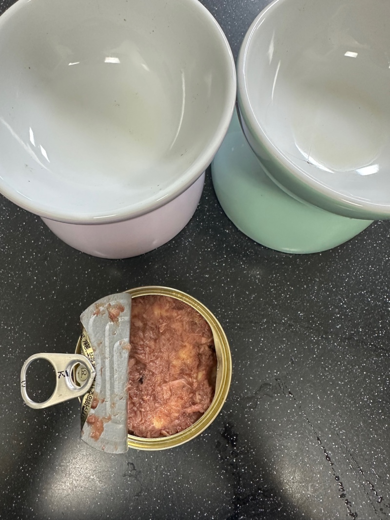 부산 동평 씨유펫 반려용품