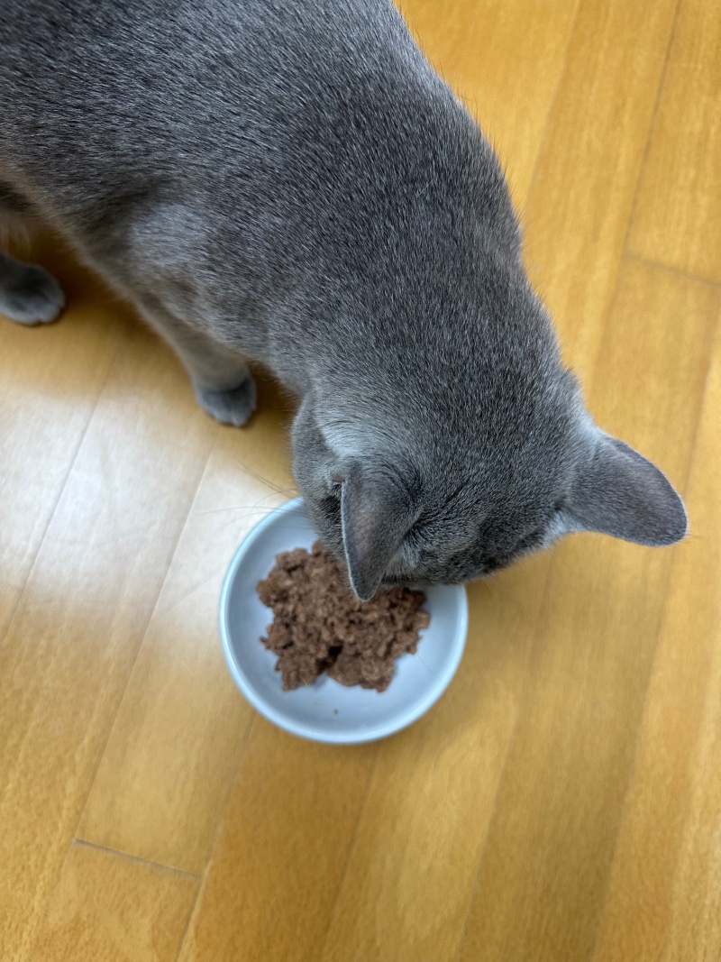 부산 동평 씨유펫 반려용품