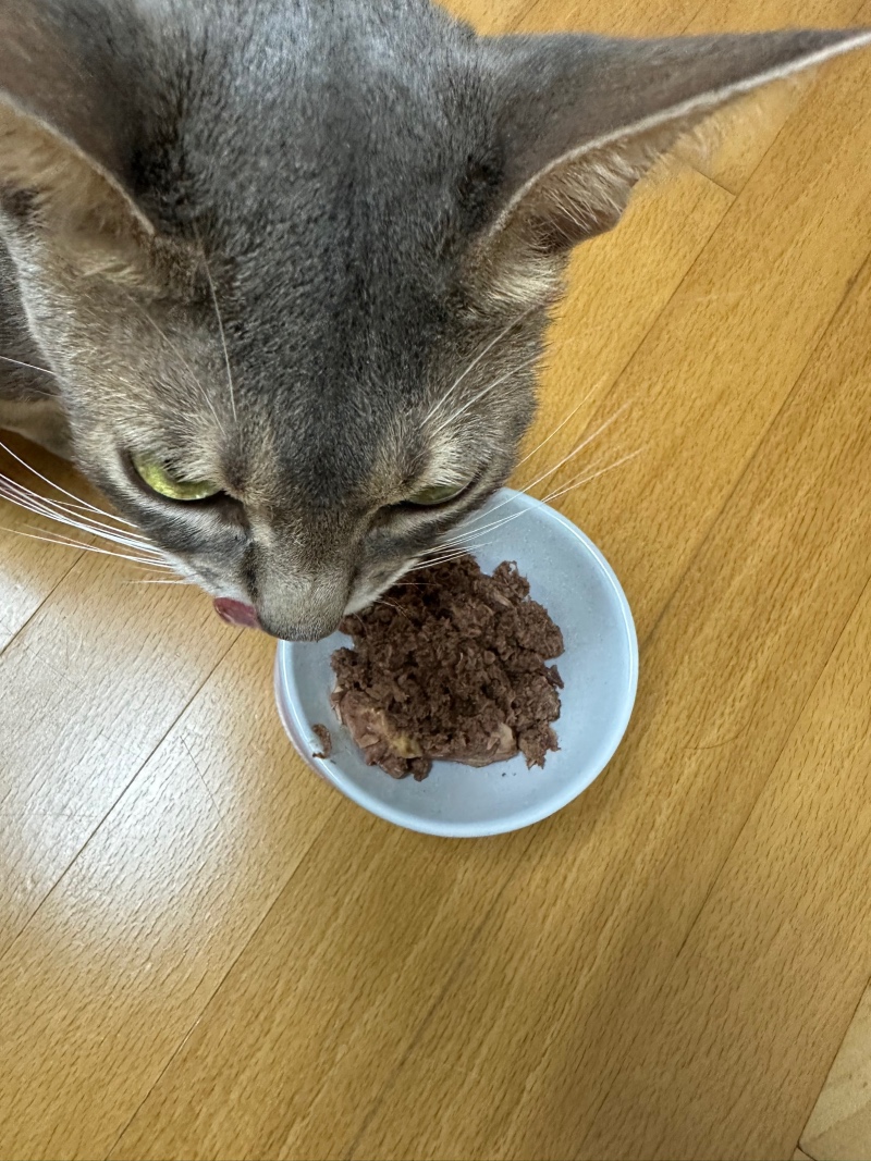 부산 동평 씨유펫 반려용품