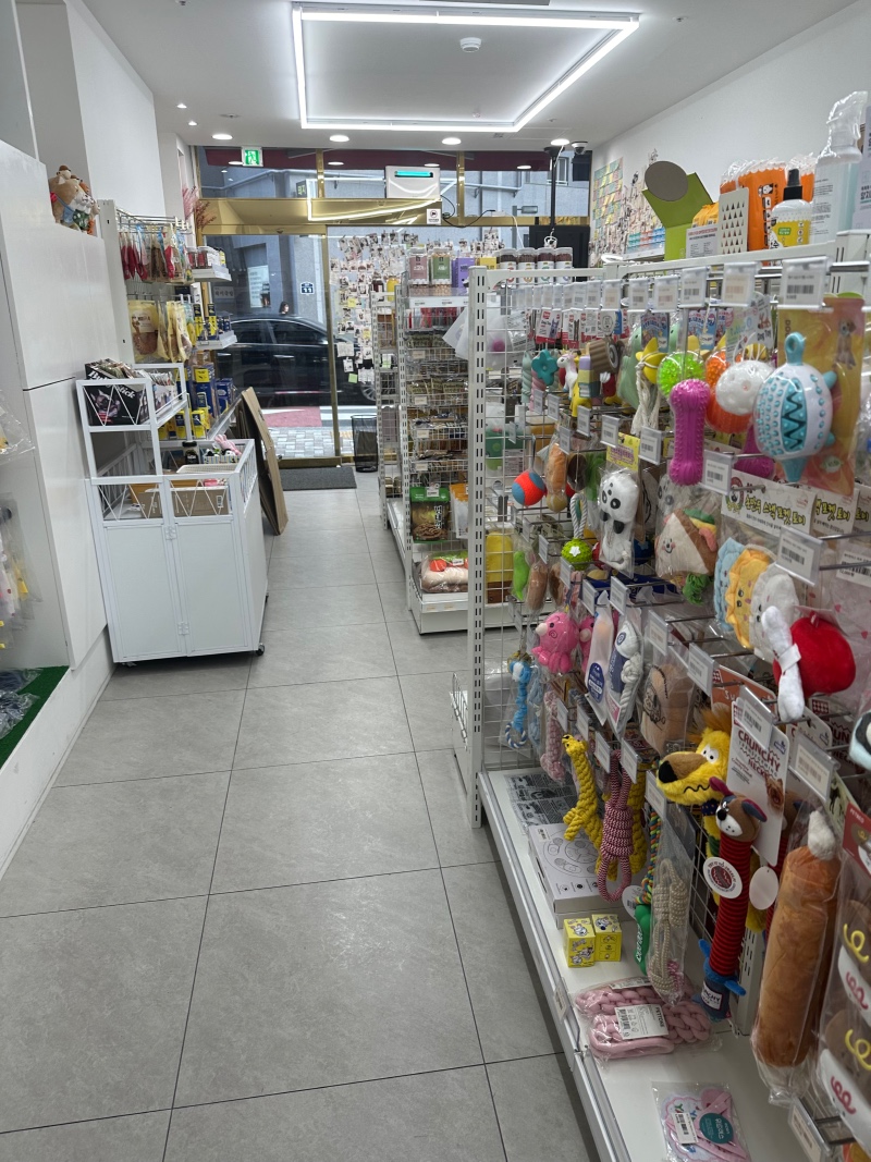 부산 신촌 슈가펫 반려용품점