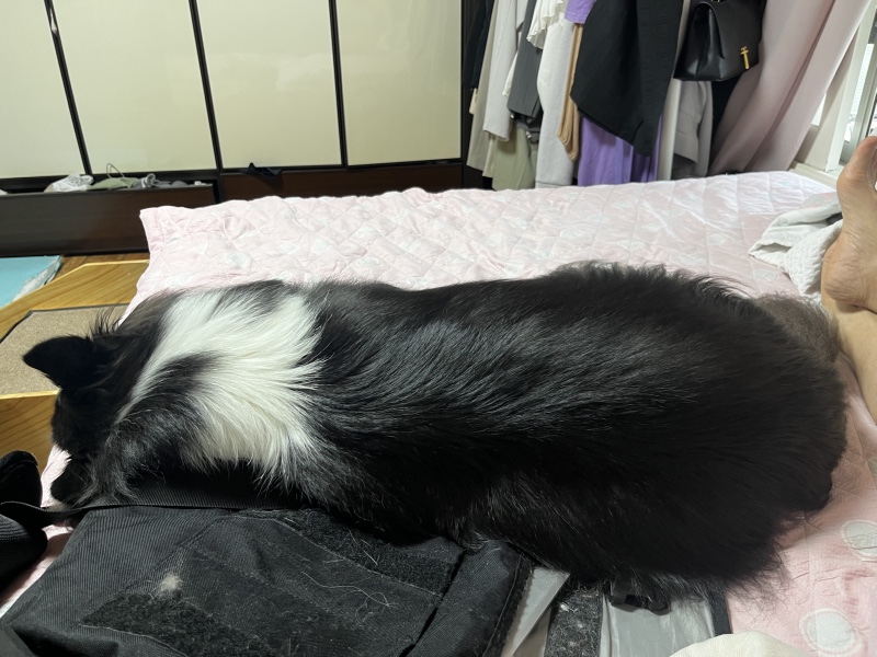 더워요..