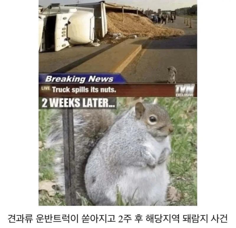 옥수수 기차 사고가 났는데.... 